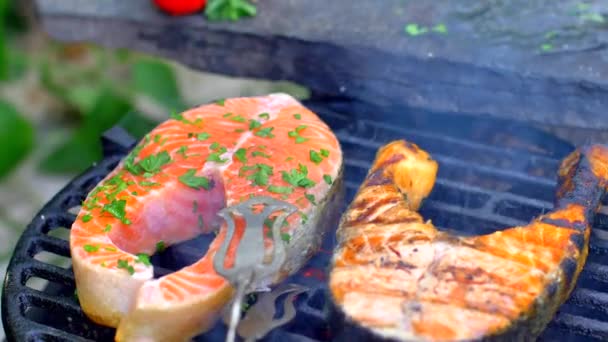 Grilling salmon with fresh spices — Stock Video
