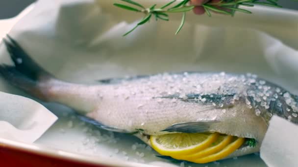 Sea bream fish, decorated with green branches and tomatoes — Stock Video