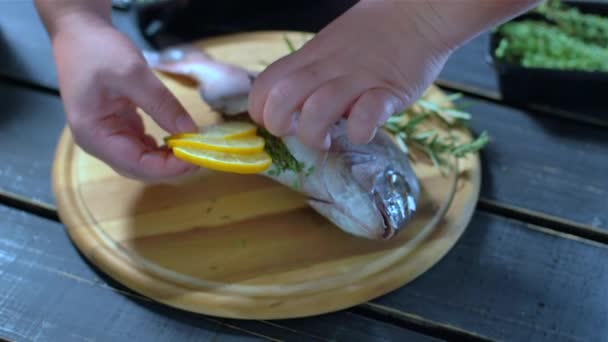 海乌贼鱼，用绿色枝条和西红柿装饰 — 图库视频影像
