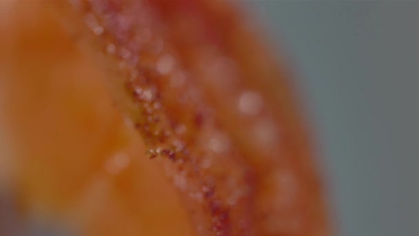 Shrimps grilled on white background, grill prawns seafood rotation, Ripe river shrimp closeup texture. — 비디오