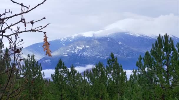Зимний горный ландшафт на переднем плане — стоковое видео