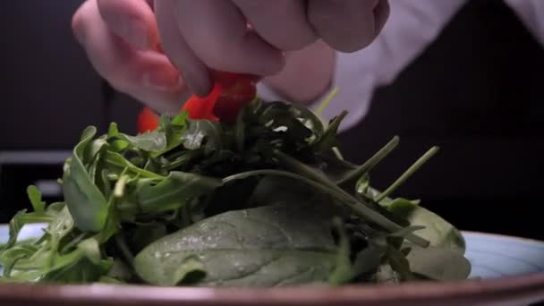 Sprinkle of arugula salad and entrecote with parmesan. — Stock Video