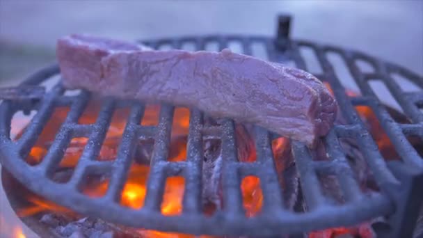 Torr åldrad grill Entrecote Steak i grillen — Stockvideo