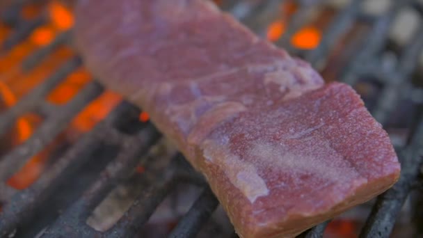 Izgarada kurumuş barbekü Bifteği — Stok video