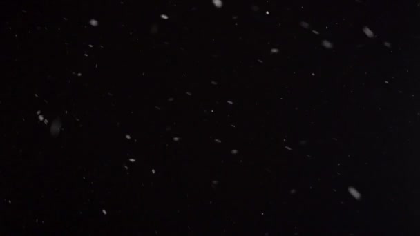 Neve cai à noite — Vídeo de Stock