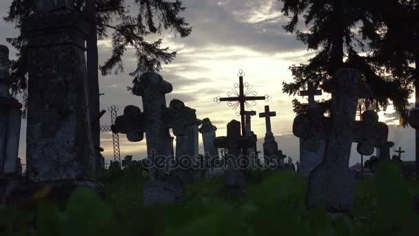 Vieilles croix de pierre dans le cimetière — Video