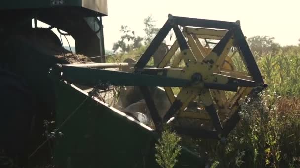 Sklízecí pracuje na poli pšenice — Stock video