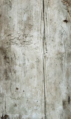 yaşlı ağaç kalası doku