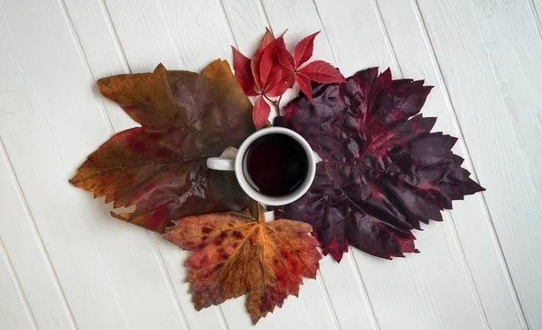 Kopp kaffe på höstlöv — Stockfoto