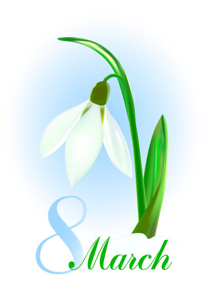 Spring background with snowdrop flower