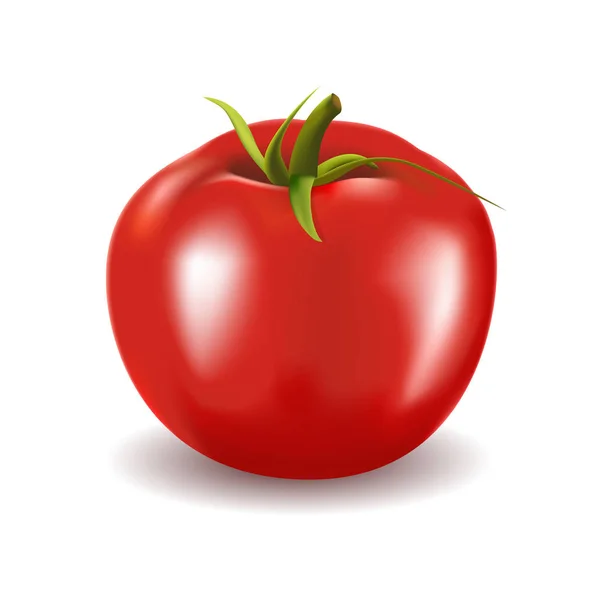 Olgun kırmızı taze domates izole beyaz arka plan üzerinde vektör çizim.