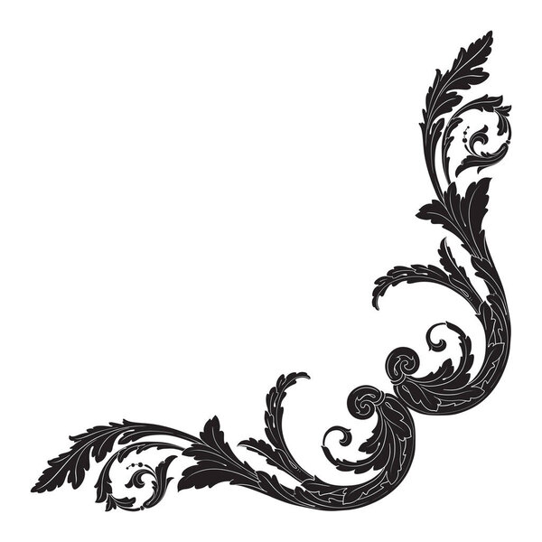 Vector isolated ornament in baroque style.