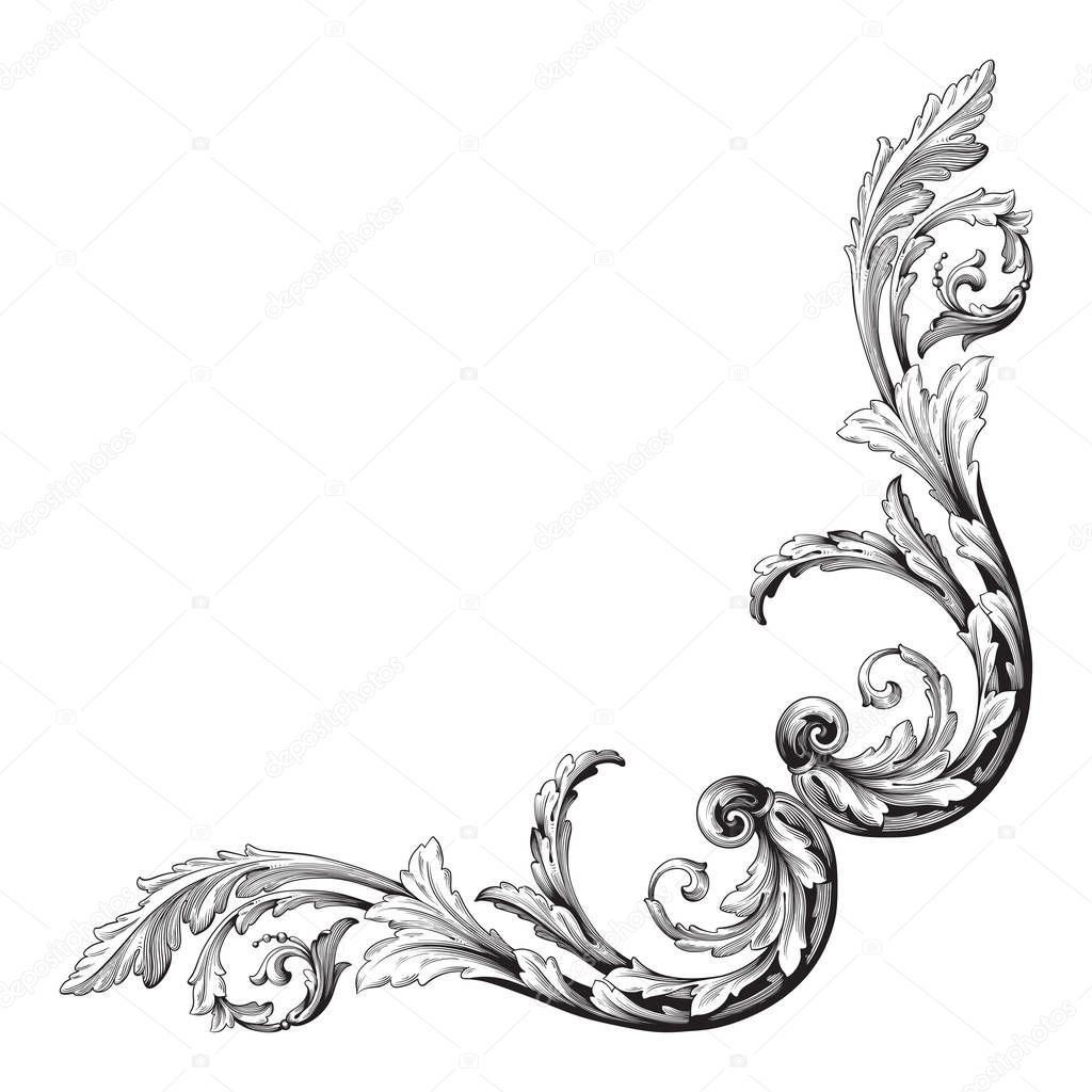 Vector isolated ornament in baroque style.