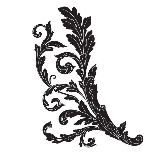 Ornament vector baroque