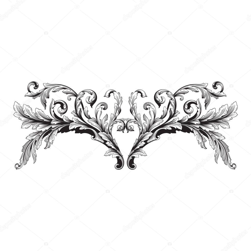 Ornament vector baroque