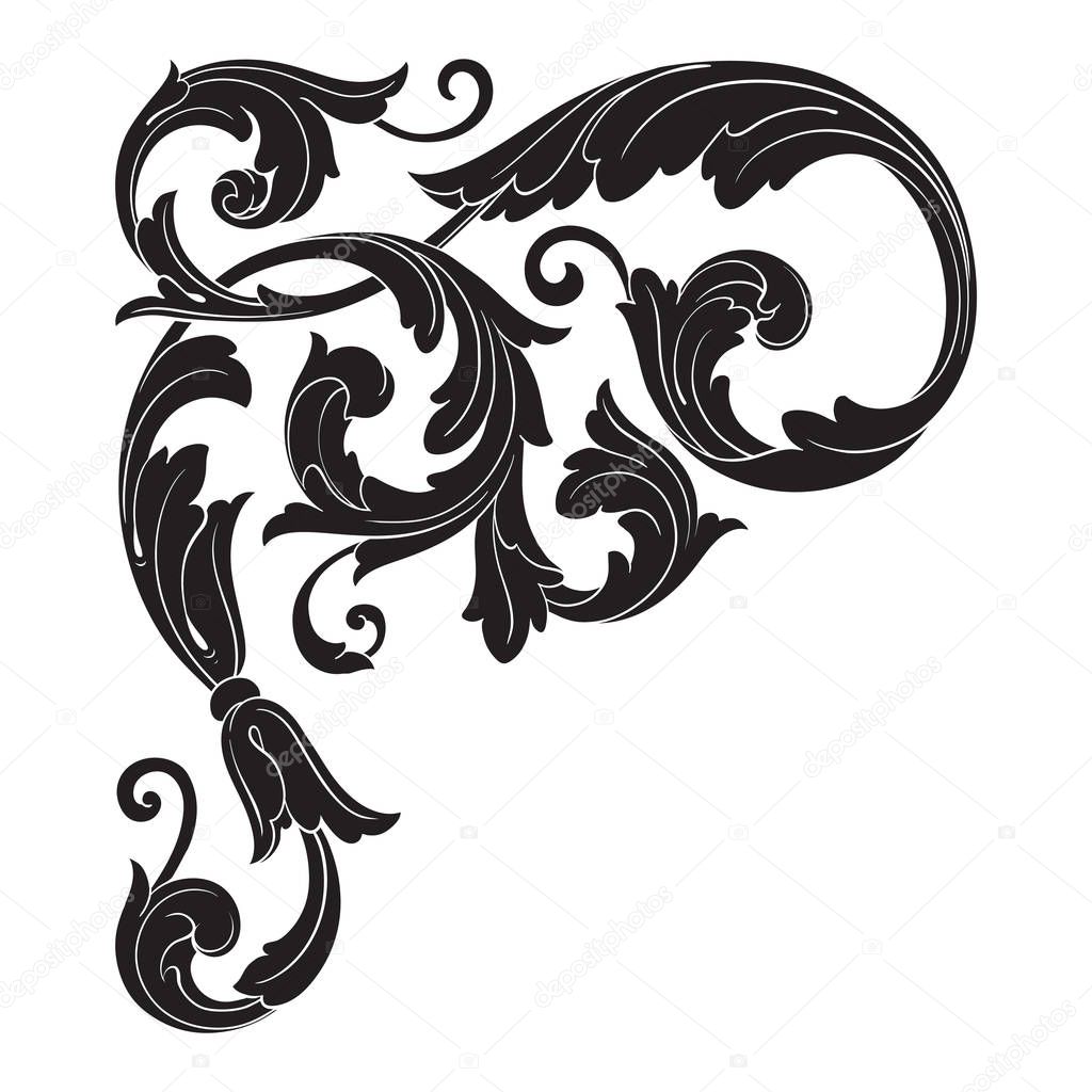 Vintage baroque ornament vector