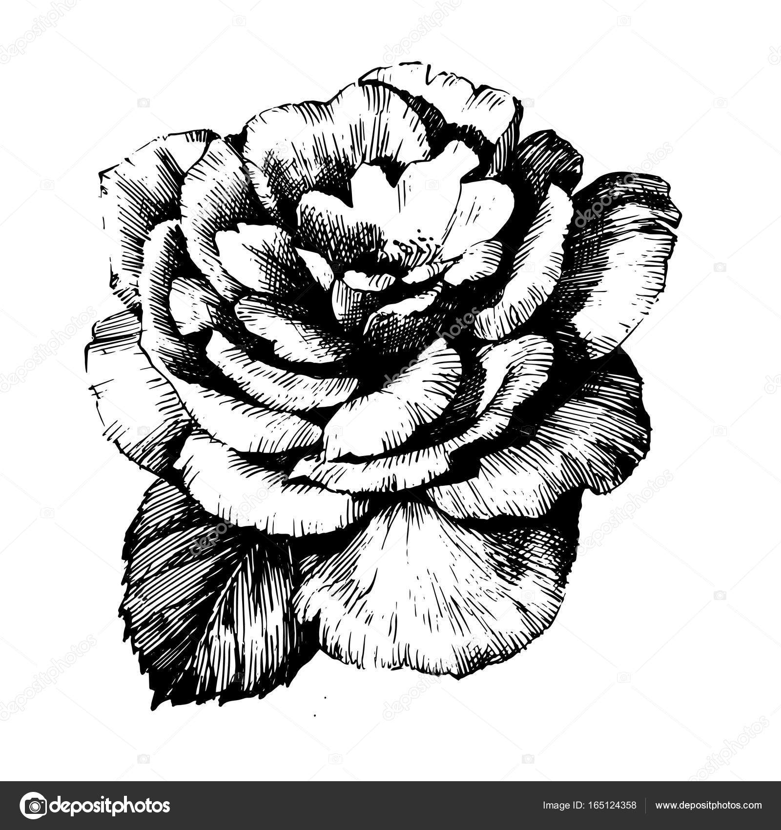 Cpa Fantaisie Fête Dessin Fleurs Roses Eur 495