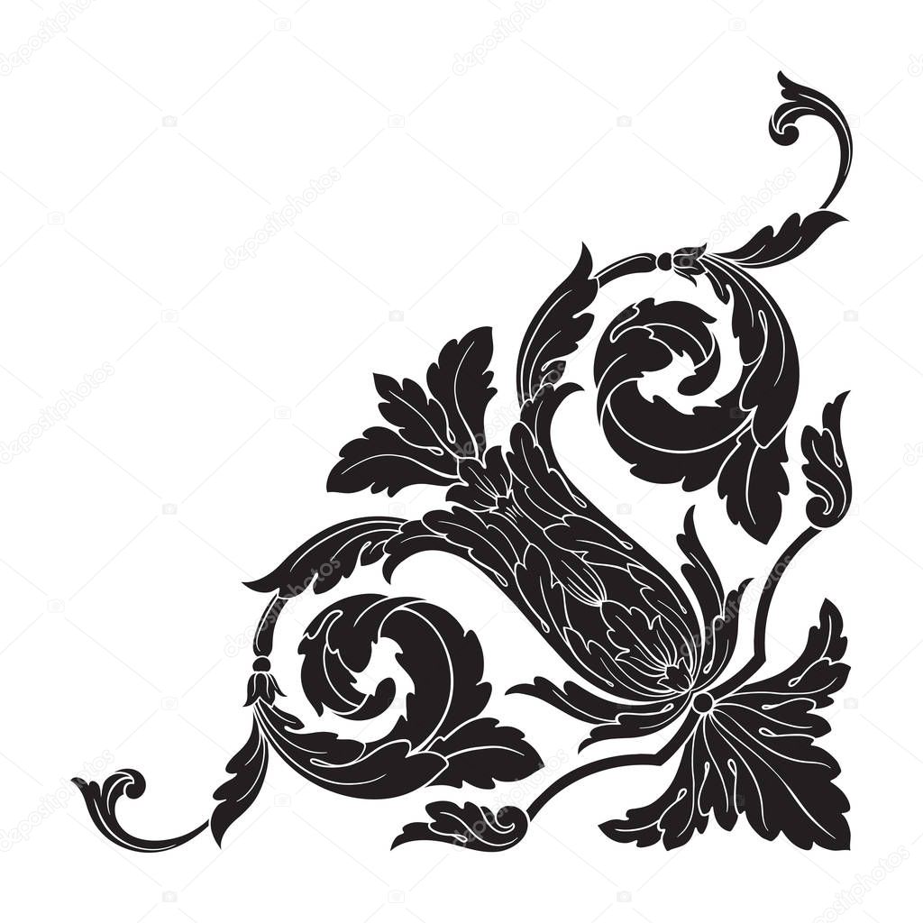 Classical baroque ornament vector 