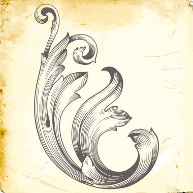 Tasarım için vintage elementlerin vektör barok 'u. 