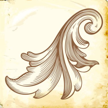 Tasarım için vintage elementlerin vektör barok 'u. 