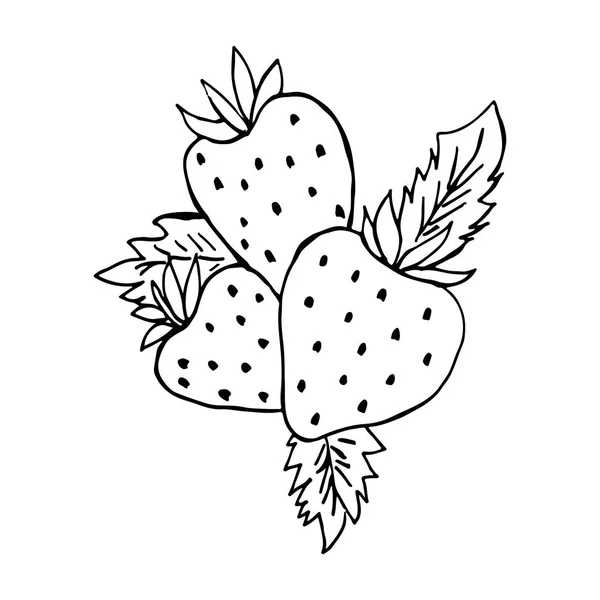 Bosquejo de fresas. Contorno, silueta, logotipo. Imagen aislada vectorial. Obras únicas para su negocio . — Vector de stock