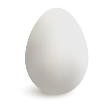 Gerçekçi beyaz tavuk yumurta gölge ile. Vektör çizim.