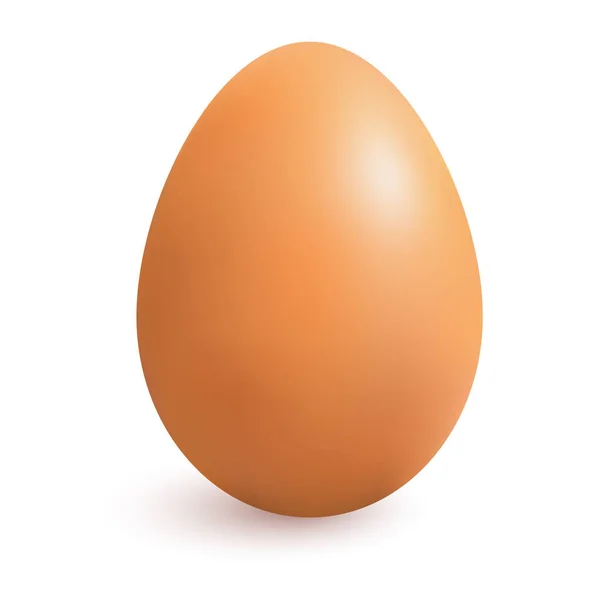 シャドウと現実的な鶏茶色の卵。ベクトル図. ロイヤリティフリーのストックイラスト
