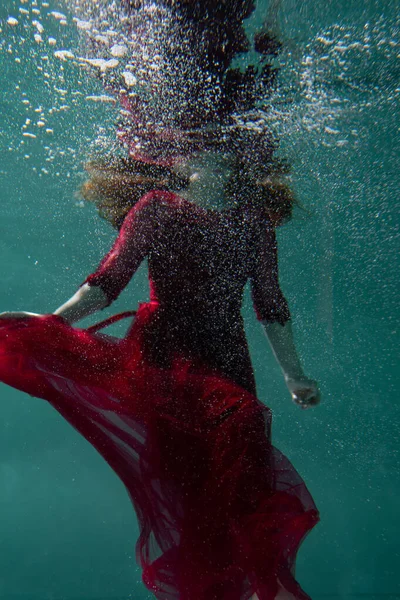 Menina Bonita Debaixo Água Vestido Vermelho Nada Piscina Ternura Elegância Imagens De Bancos De Imagens