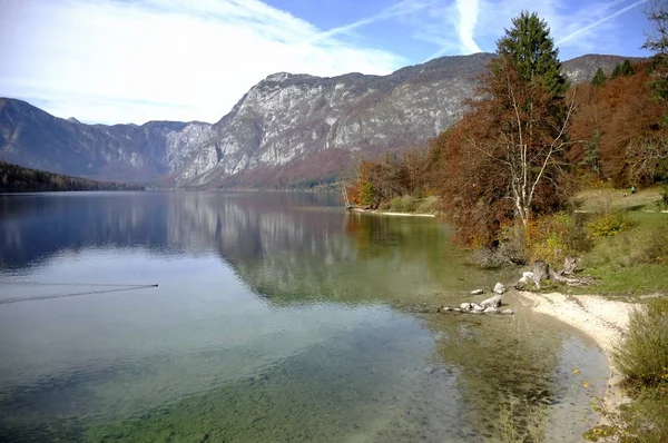 Göl Bohinj Slovenya seyahat