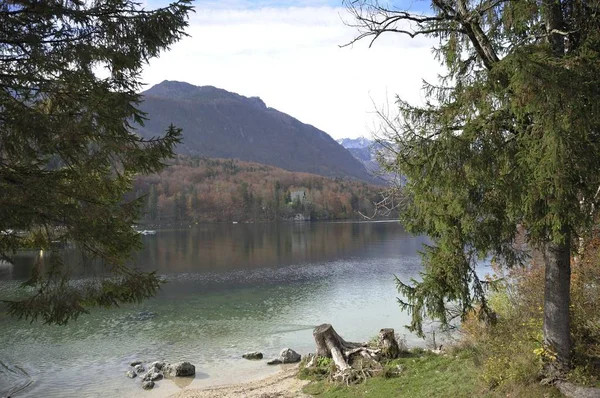 Bir sabah on the Lake Bohinj, Slovenya