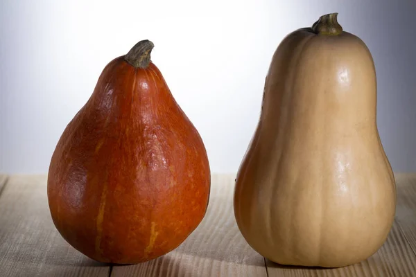 Beyaz ve sarı balkabağı