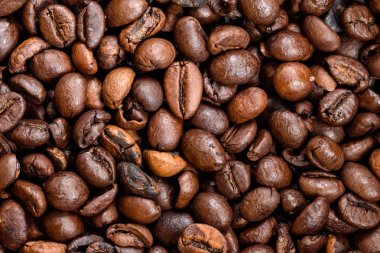 kahve çekirdekleri Close-Up
