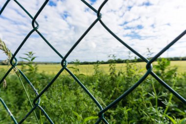 Çayır çit arkasında