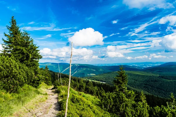 Aşağı yeri Labska Louka giden yol