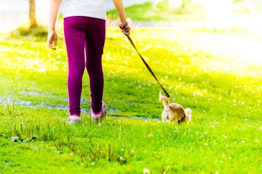 Küçük köpek ile yolda genç kızdır