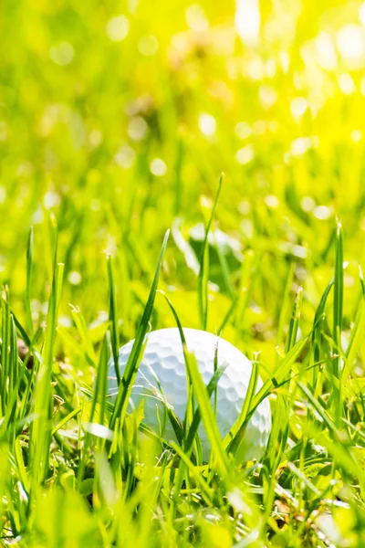 Golf topu çim kaybetti