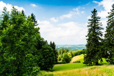 Güzel yaz manzarası