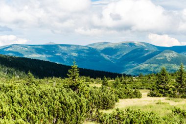 Güzel dağ manzarası ve çayır
