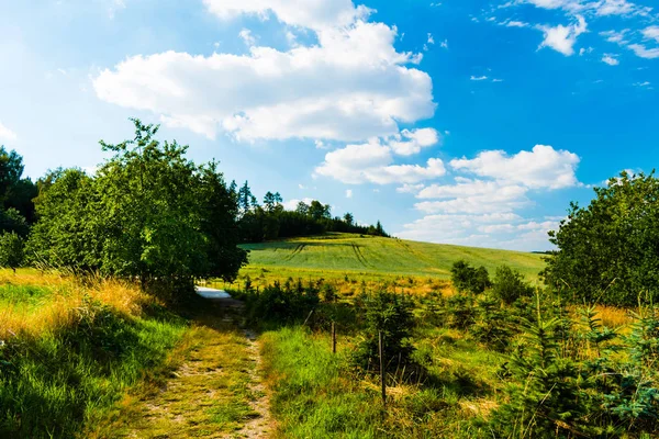 Літній сонячний луг з блакитним небом, хмарами та деревами — стокове фото