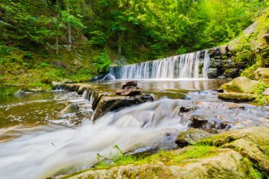 Ormandaki güzel Creek güzel küçük şelale