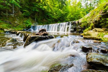 Ormandaki güzel Creek güzel küçük şelale