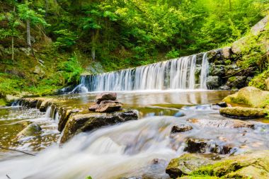 Ormandaki güzel Creek güzel küçük şelale