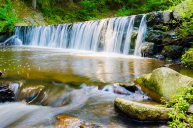 Ormandaki güzel Creek güzel küçük şelale