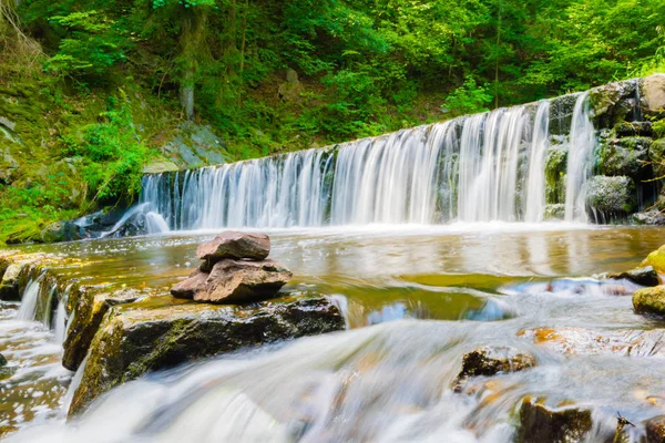 Ormandaki güzel Creek güzel küçük şelale