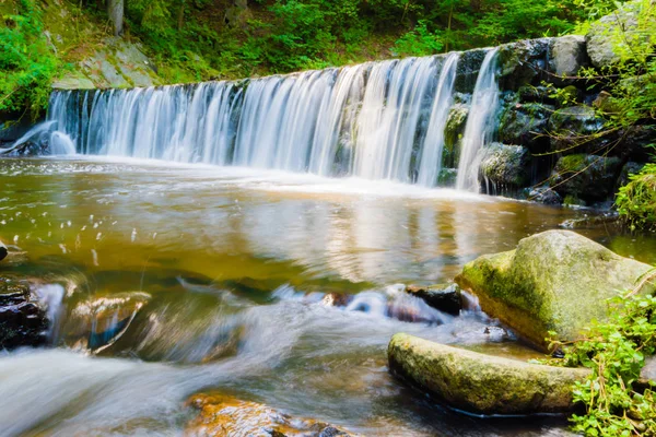 Ormandaki güzel Creek güzel küçük şelale