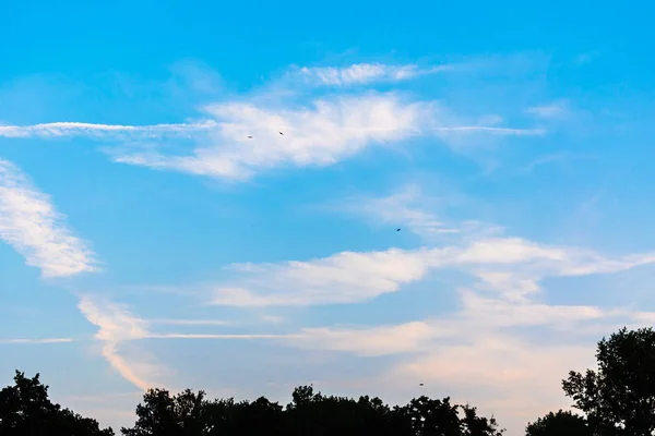 Beau ciel bleu avec quelques nuages et oiseaux volants — Photo