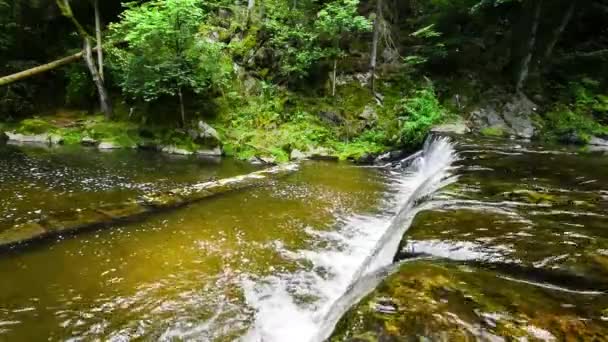 Güzel küçük şelale orman akışı — Stok video