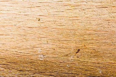 ahşap doku arkaplanı