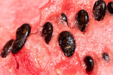 Tatlı kırmızı taze karpuz