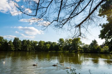 Küçük kırsal gölet üzerinden görünüm